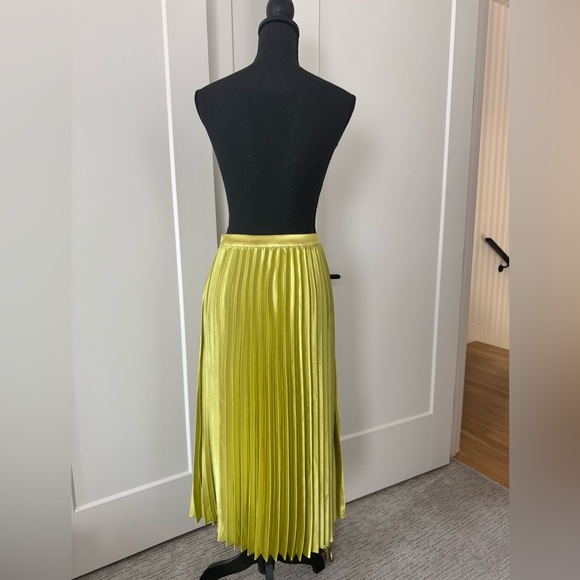 LUSH Pleated Midi Skirt - Picture 4 of 10